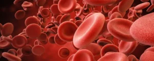 Thrombosis and Hemostasis Disorders