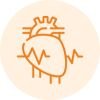 Cardiology