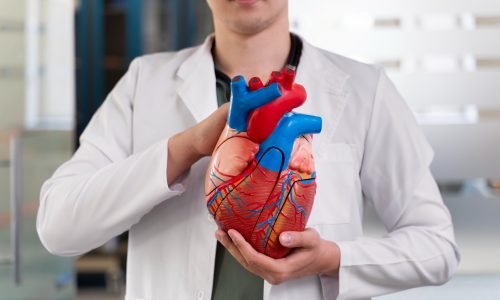 Expert Cardiologists & Cardiac Surgeons